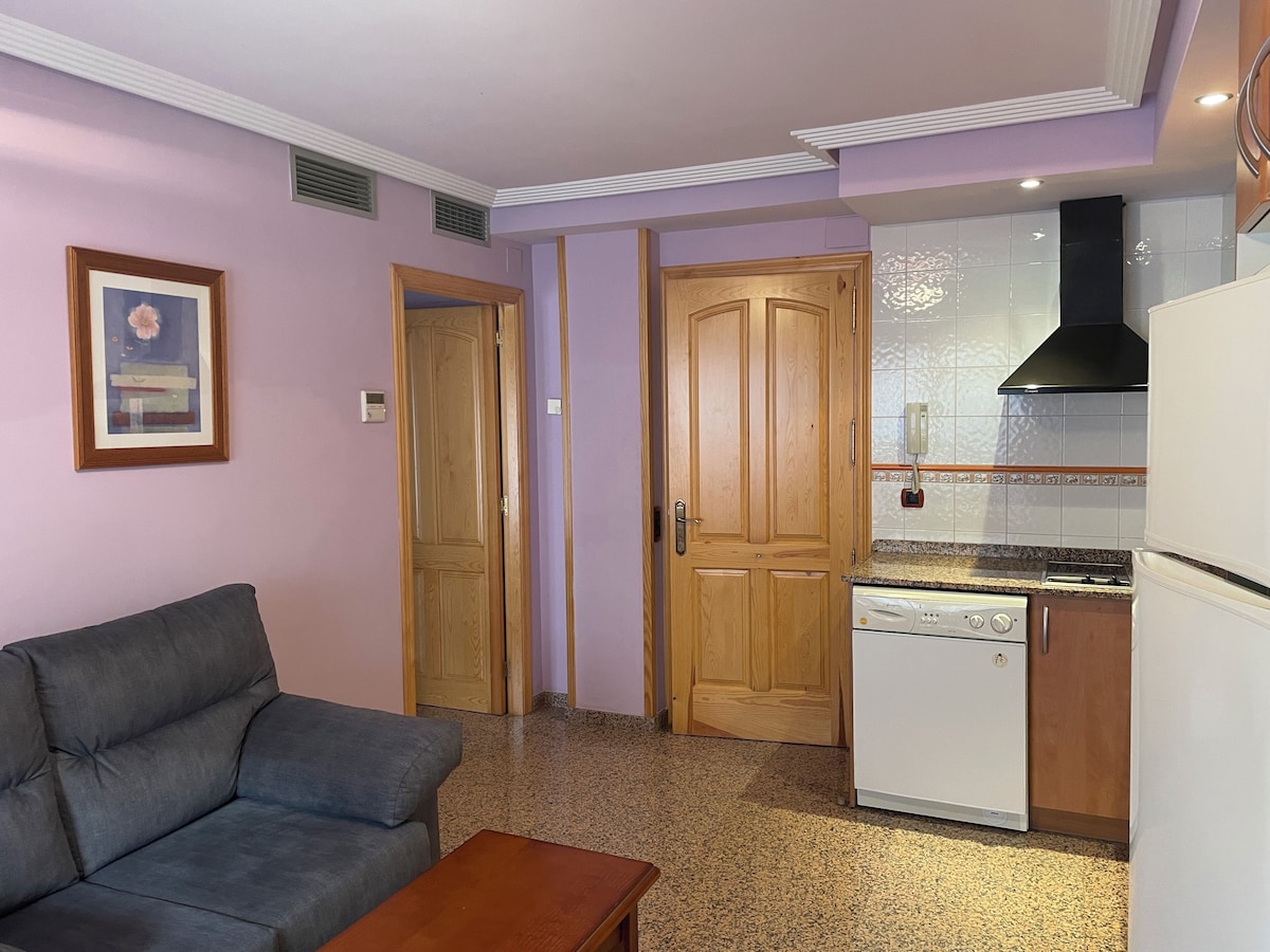 Villa de Aínsa Apartment